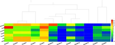 A Detailed Spatial Expression Analysis of Wing Phenotypes Reveals Novel Patterns of Odorant Binding Proteins in the Soybean Aphid, Aphis glycines